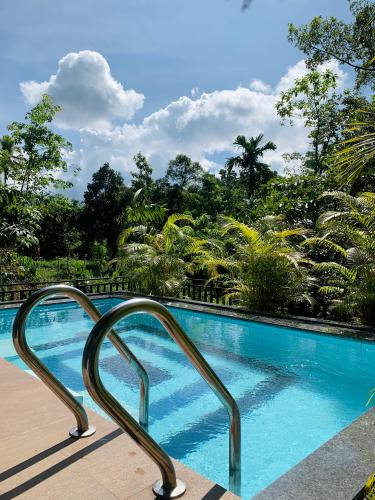 whatsapp_image_2024-11-29_at_23